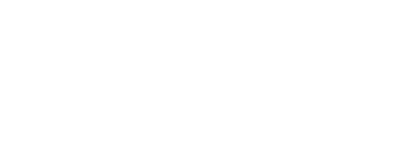 Stuut alternative logo